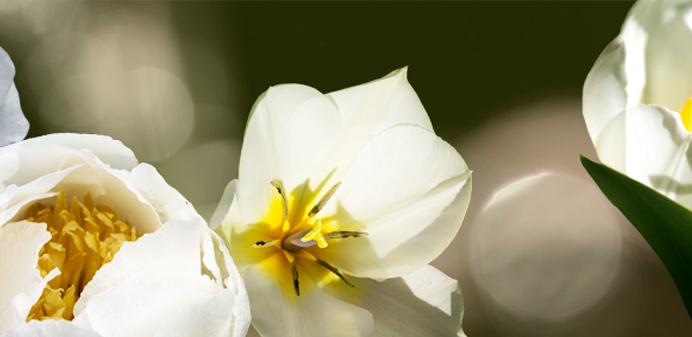 Das Fachärztezentrum am Klinikum Darmstadt hat den Betrieb aufgenommen