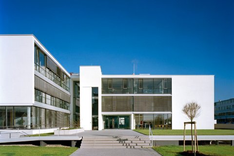 Head-Office Head-Office